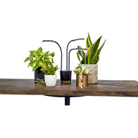 Aerogarden Trio Grow Light For Indoor Plants, Grow Live Plants Anywhere In The Home, Adjustable Light Modes, Black