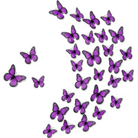 Chuangdi Monarch Butterfly Decoration 3 Size Fake Butterflies Realistic Butterfly Crafts Artificial Butterfly Wall Decor For Classroom Home Bedroom Birthday Party Decorations(Purple, 48 Pack)