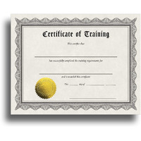 Certificate Of Training Certificate Paper With Embossed Gold Foil Seals - 30 Pack - Parchment Award Certificates For Students, Teachers, Employees - 8.5" X 11" Inkjet/Laser Printable
