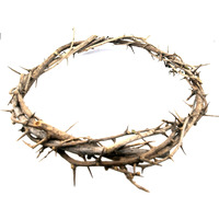 Zuluf Bethlehem Jerusalem Holy Land Aprox 7.5" Diameter | Passion Of Christ Crown Of Thorns/Authentic Crown Of Thorns Comes In Gift Box | Easter Tree Decorations Ornament Hlg027