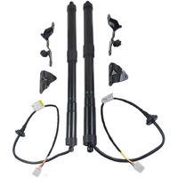 Flynsu Electric Tailgate Liftgate Struts Shock Power Lift Support Replacement For 2013-2016 Toyota Rav4 2.5L Part# 68920-09010, 68910-09010, 6892009010, 6891009010