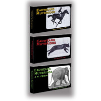 Fliptomania Muybridge Early Photography Flipbook 3-Pack: Horse, Cat, Elephant