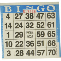 American Games 1On Blue Bingo Paper (500 Sheets),Cards Included