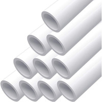 Letsfix 3/4" Pvc Pipe, Diy Pvc Projects For The Home, Garden, Greenhouse, Farm And Workshop, Sch. 40 Furniture Grade, White [40" X 10 Pack]