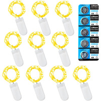 Etinga 10 Pack Fairy Lights Battery Operated String Lights, 10 Led On 3.3Ft Silvery Copper Wire,For Flowers Gift Box Wedding Party Christmas Decoration (Warm White, 10 Pack)