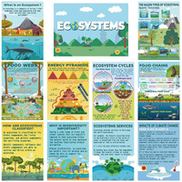 Pasimy 11 Pcs Science Posters For Classroom Ecosystems Teaching Poster Ecosystems Bulletin Board Biological Food Chain Bulletin Board For Classroom Decoration Teacher Middle High School Library Home