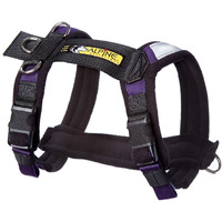 Alpine Outfitters Urban Trail Adjustable Harness