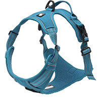 True Love Adjustable No-Pull Dog Harness Reflective Pup Vest Harnesses Comfortable Control Brilliant Colors Truelove Tlh5651(Blue,L)