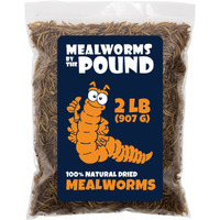Mbtp Bulk Dried Mealworms - Treats For Chickens & Wild Birds (2 Lbs)