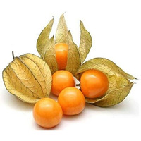 Kejora Fresh Golden Berries  Cape Gooseberries 3 Ounce (Pack Of 3)