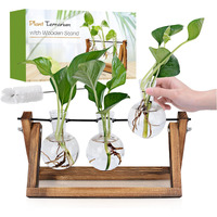 Renmxj Plant Propagation Station, Plant Terrarium With Wooden Stand, Unique Gardening Birthday Gifts For Women Plant Lovers, Home Office Garden Decor Planter - 3 Bulb Glass Vases