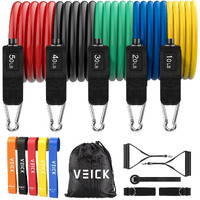 Veick Resistance Bands For Working Out, Exercise Bands, Workout Bands, Resistance Bands Set With Handles For Men Women , Weights For Strength Training Equipment At Home