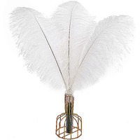 Tharaht 12Pcs White Ostrich Feathers Natural Bulk 16-18Inch 40Cm-45Cm For Wedding Party Centerpieces Easter Gatsby And Home Decorate Ostrich Feathers
