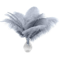 Piokio 10Pcs Natural Grey Ostrich Feathers 10-12 Inch (25-30Cm) Bulk Feathers For Wedding Party Centerpieces, Home Decoration And Diy Clothing, Gatsby Decorations