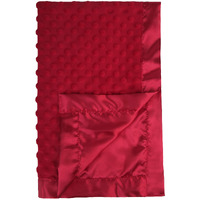 Pro Goleem Baby Soft Minky Dot Blanket With Silky Satin Backing Baby Gifts For Boys And Girls (Red, 30 X 40)