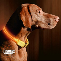 Illumiseen Led Light Up Dog Collar - Bright & High Visibility Lighted Glow Collar For Pet Night Walking - Usb Rechargeable - Weatherproof, In 6 Colors