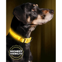 Illumiseen Led Light Up Dog Collar - Bright & High Visibility Lighted Glow Collar For Pet Night Walking - Usb Rechargeable - Weatherproof, In 6 Colors