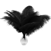 Piokio 10 Pcs Black Ostrich Feathers Plumes 12-14 Inch(30-35 Cm) Bulk For Wedding Party Centerpieces, And Diy Clothes Decoration, Gatsby Decorations