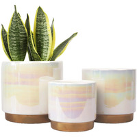 Gepege White Indoor Pots For Plants, Ceramic Planter With Drainage Hole, 6.0 Inch+5.0 Inch+4.0 Inch. Succulent Orchid Flower Pot - Rainbow Pearl Glaze