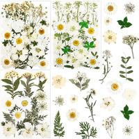 Lucisky 86Pcs White Pressed Dried Flowers Real Natural Leave For Diy Resin Molds Candle Jewelry Nail Crafts Gifts
