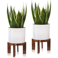 Gendral Forwepup 2 Pack Wood Plant Stand, Mid Century Modern Planter Stand Rattan Flower Pot Stand, Low Short Plant Stands Indoor - Boho Rustic Wooden Stool For Plant Pot Holder, Fit 5-15 Inch Pot