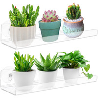 Skewo 2 Pack Acrylic Window Boxes Plant Shelves,12 Inch Acrylic Window Sill Extender For Plants, Windows Suction Cup Shelf, Window Plant Shelves, For Succulent Planters, Herb Pots, Indoor Plants