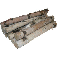 Wilson Northern White Birch Log Bundle, Natural Bark Wood Home Dcor - 15.5"-17.5" In Length 1.5"-3" Dia. (Set Of 8)