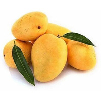 Fresh Indian Banganpalli Mangoes Combo of 8-9