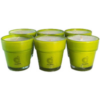 Aura Home Fragrances Jasmine Aroma Scented Fragrance Step Cup Candles Pack of 6 Units Candle (White, Pack of 1)