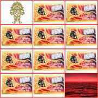 GANESHA CULCUTTI PAN_10_PCS