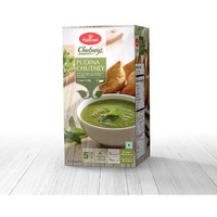 HALDIRAM PUDINA CHUTNE_300_GM