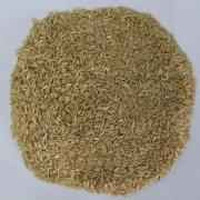 TG FD BROWN SONA MASO_20_LBS