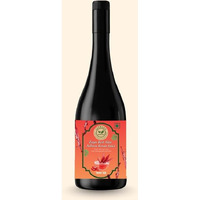 Zaynura Ayurveda Red Aloe Ashwa Kesar Juice | Rare Red Aloe Therapeutic Detox | Stress Relief & Metabolic Balance | Premium Herbal Wellness Juice | 900 ml