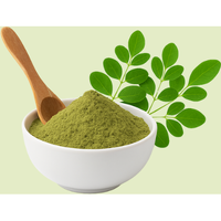 Mulaga Leaves Powder