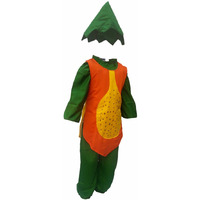 KFD Papaya fancy dress for kids,Fruits Costume for School Annual function/Theme Party/Competition/Stage Shows Dress