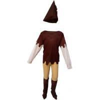 Fairy tales costume for boy/ Annual function/Theme Party/Competition/Stage Shows/Birthday Party Dress