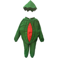 KFD Watermelon fancy dress for kids,Fruits Costume for School Annual function/Theme Party/Competition/Stage Shows Dress