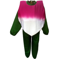KFD Turnip fancy dress for kids,Vegetables Costume for School Annual function/Theme Party/Competition/Stage Shows Dress