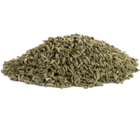 Aara Fennel Lucknowi Seeds - 14 oz