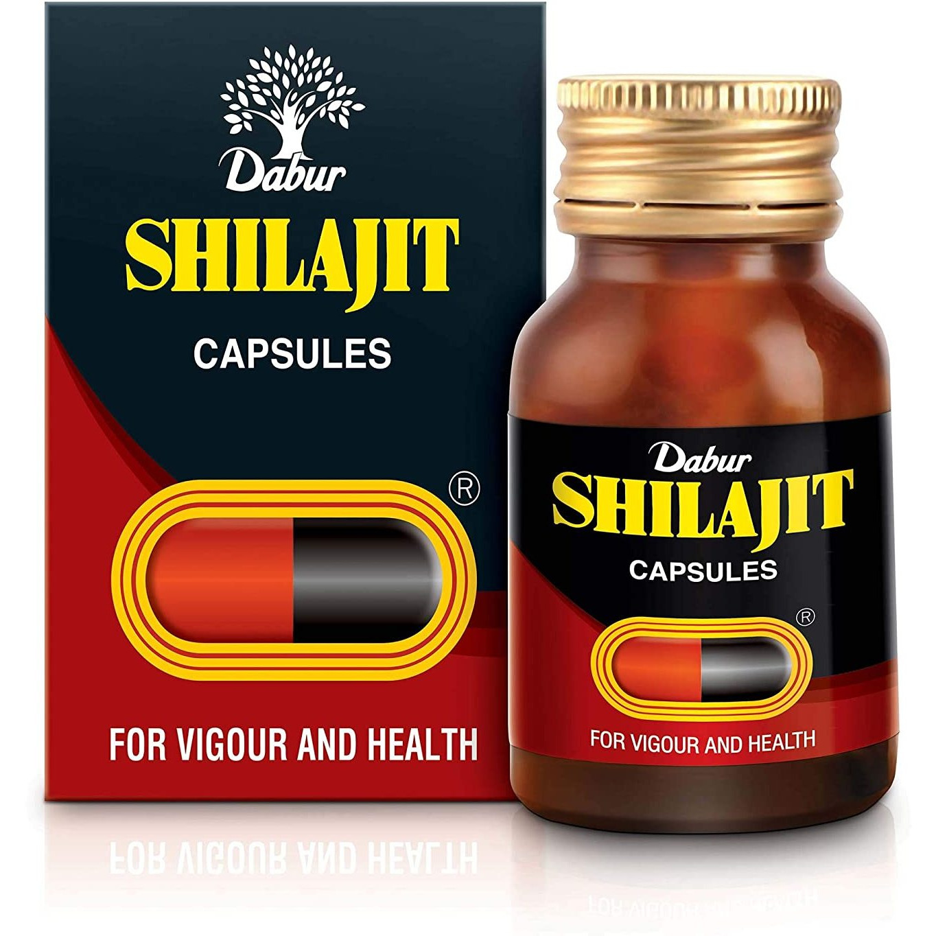 Dabur Shilajit Capsules 100 capsules