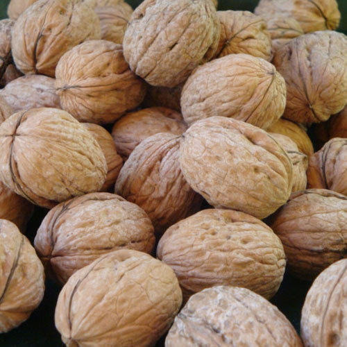 Walnuts 28 Oz