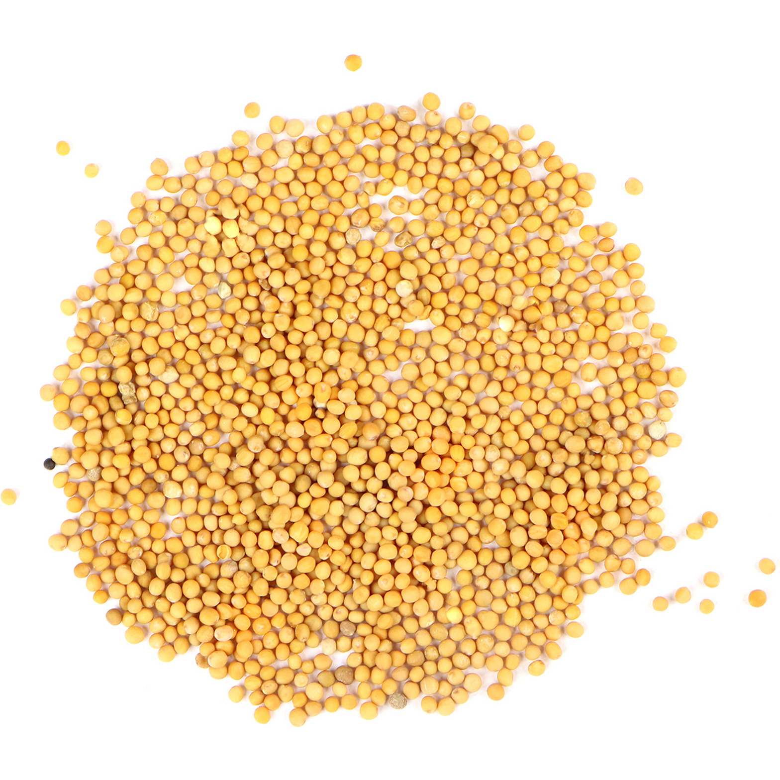 Swadesi Mustard Seeds 200gm