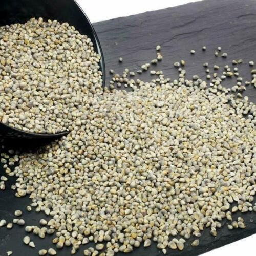 Devam Sorghum Millet 5 kg / 11 lbs