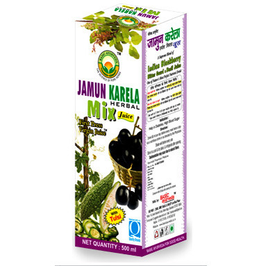 Basic Ayurveda Jamun Karela Mix Herbal Juice 480ml