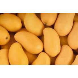 Fresh Kesar Mango 11 CT