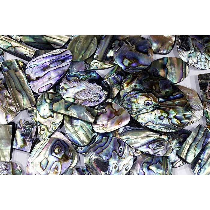 RARE !! 500Cts NATURAL ABALONE SHELL MIX CABOCHON LOOSE GEMSTONE (Weight:1000CTS.)