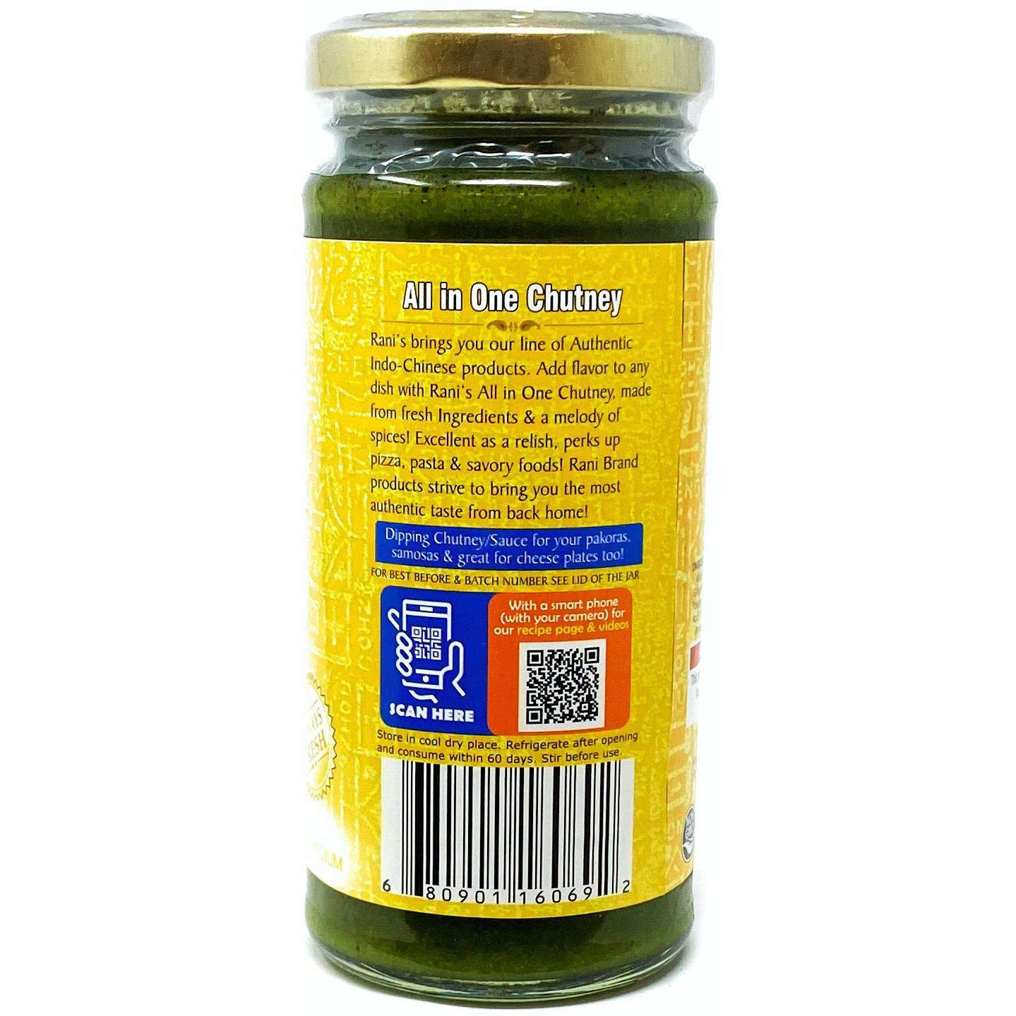 Rani All-in-One Chutney 8.8oz (250g) Glass Jar ~ No Colors | NON-GMO | Vegan | Gluten Friendly | Indian Origin
