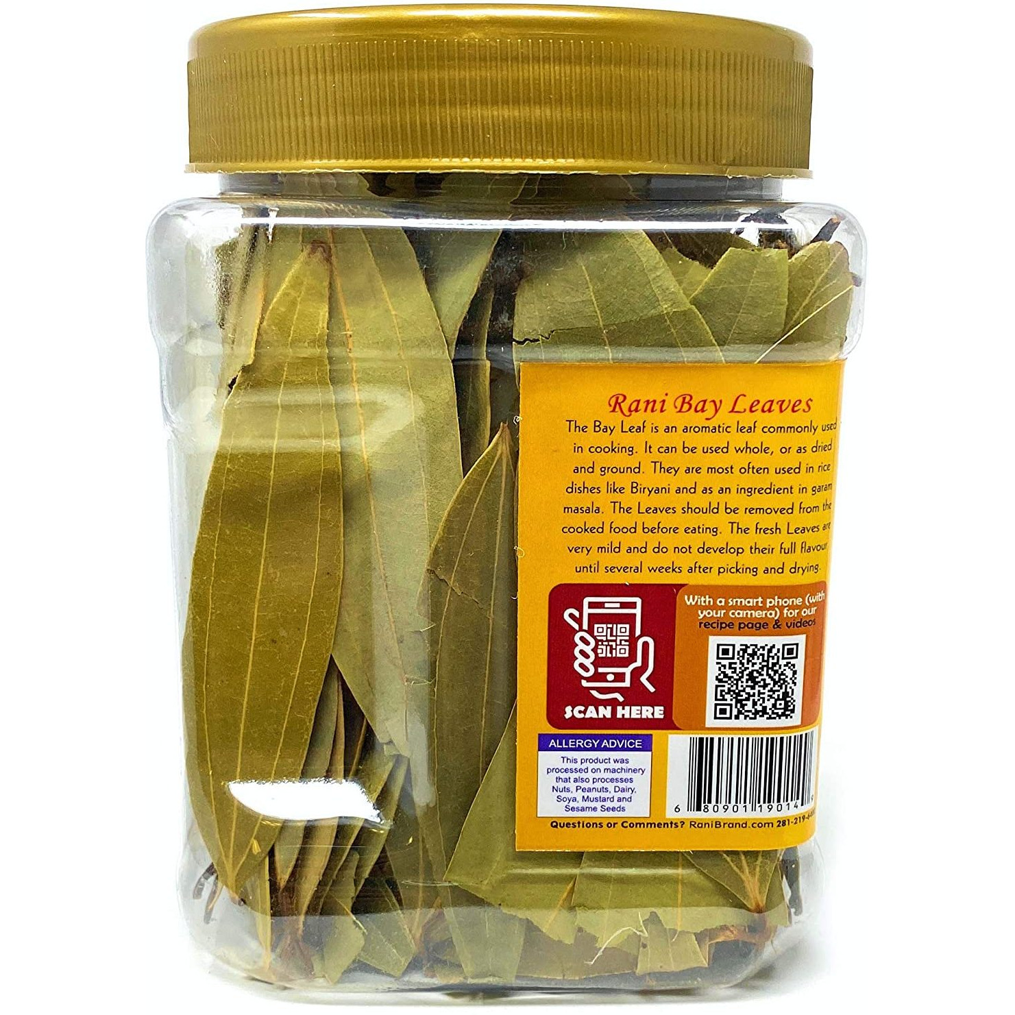 Rani Bay Leaf (Leaves) Whole Spice Hand Selected Extra Large 40g (1.4oz) PET Jar, All Natural ~ Gluten Friendly | NON-GMO | Vegan | Indian Origin (Tej Patta)