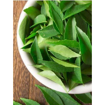 Rani Fresh Curry Leaves 1oz ~ All Natural | Vegan | Gluten Friendly | NON-GMO