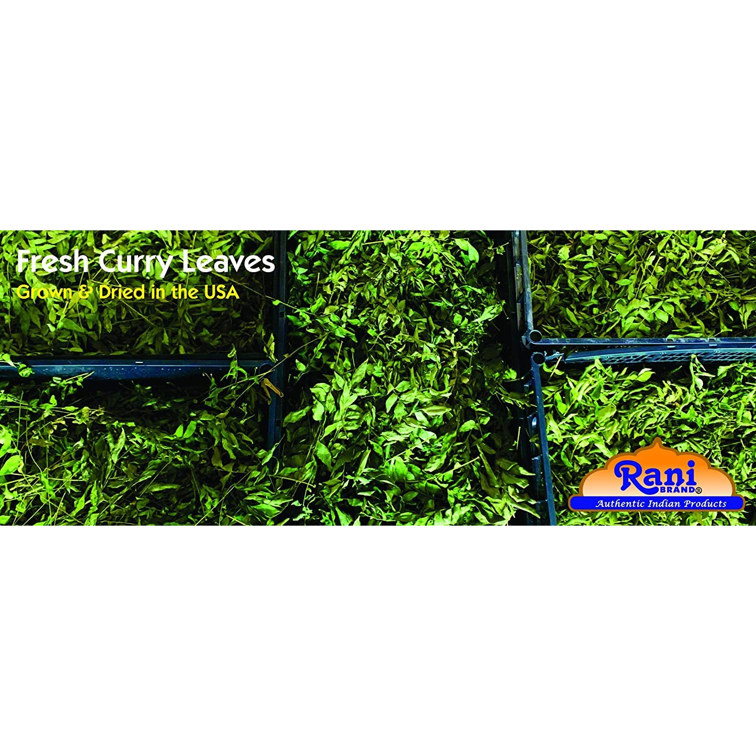 Rani Fresh Curry Leaves 3oz (Pack of 3 x 1oz) ~All Natural | Vegan | Gluten Friendly | NON-GMO